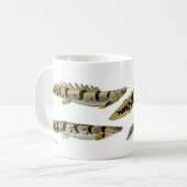 Polypterus delheziのマグカップ コーヒーマグカップ (正面左)