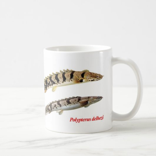 Polypterus delheziのマグカップ コーヒーマグカップ (右)