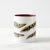 Polypterus delheziのマグカップ ツートーンマグカップ (中央)