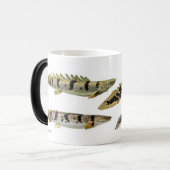 Polypterus delheziのマグカップ モーフィングマグカップ (正面左)