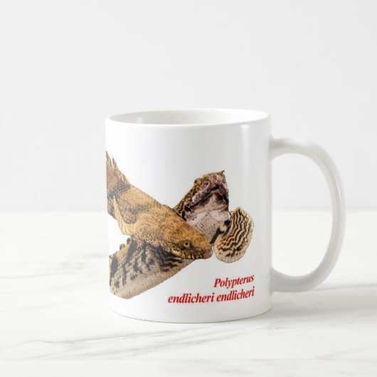 Polypterus endlicheri endlicheriのマグカップ,No.02 コーヒーマグカップ (右)