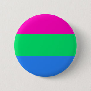 Polysexualのプライドの旗 缶バッジ
