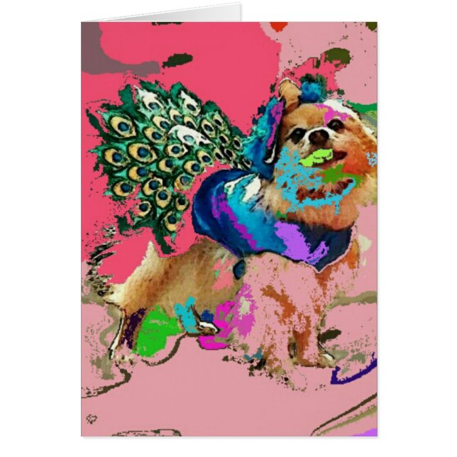 Pomはピンクの孔雀です (正面)