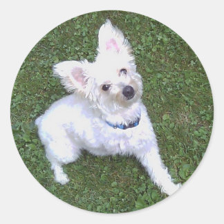 Pom-A-Pooのステッカーを剥がす ラウンドシール