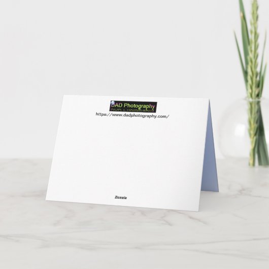 POM - POM シーズンカード (裏面)