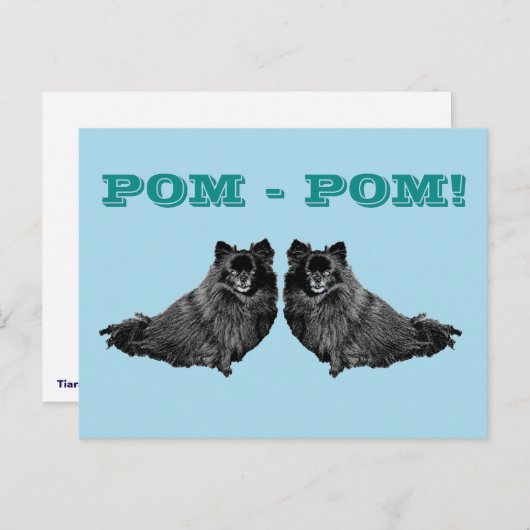 POM - POM ポストカード (正面/裏面)