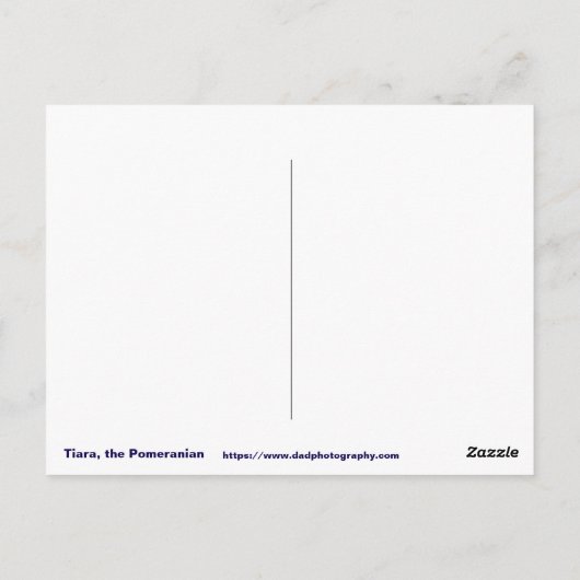 POM - POM ポストカード (裏面)