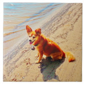 Pomchi犬! タイル (正面)