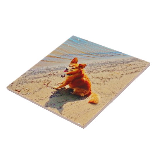 Pomchi犬! タイル (側面)