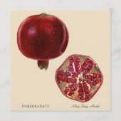 Pomegranate by Mary Daisy Arnold (正面)