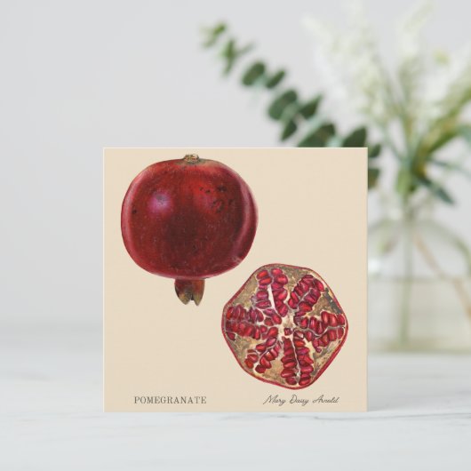 Pomegranate by Mary Daisy Arnold (スタンド正面)