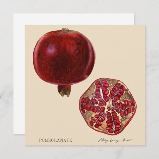 Pomegranate by Mary Daisy Arnold (正面/裏面)
