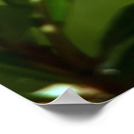 Pomegranate Flower ポスター (角)