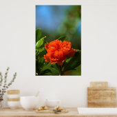 Pomegranate Flower ポスター (キッチン)