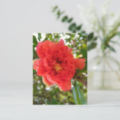 Pomegranate Flower postcard ポストカード (スタンド正面)