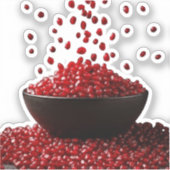Pomegranate Illustration – Elegant Fruit Design シール (正面)