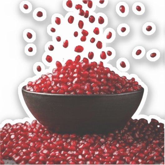 Pomegranate Illustration – Elegant Fruit Design シール (正面)