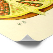 Pomegranate Month Vintage Illustration ポスター (角)