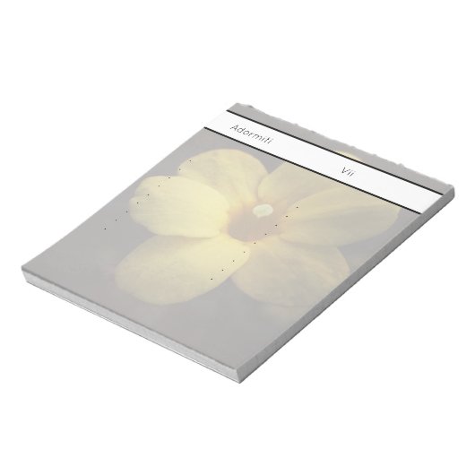 Pomelnic ノートパッド (回転)