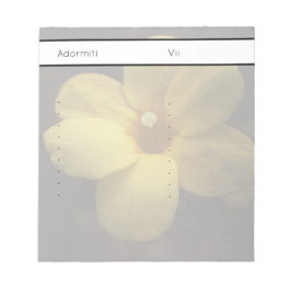 Pomelnic ノートパッド