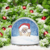 Pomeranian (クリスマス)