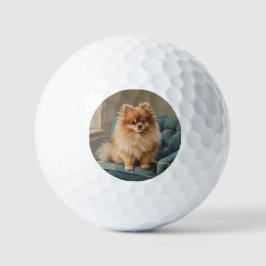 Pomeranian ゴルフボール