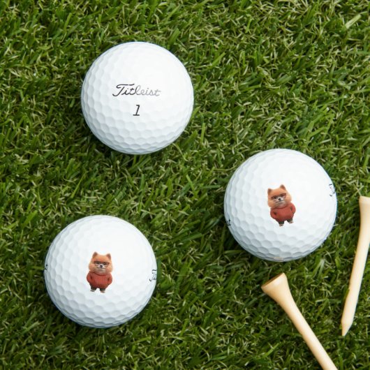 Pomeranian Golf Balls ゴルフボール (インサイチュ 芝生)