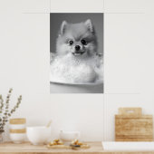 Pomeranian in Bubble Bath Print, Funny Dog ポスター (キッチン)