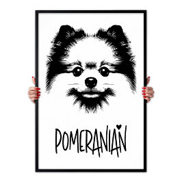 Pomeranian Pop Art Black & White Chic Aesthetic ポスター
