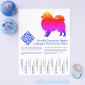 Pomeranian Puppies  チラシ (シングル)