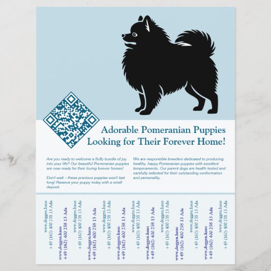 Pomeranian Puppies  チラシ (正面)