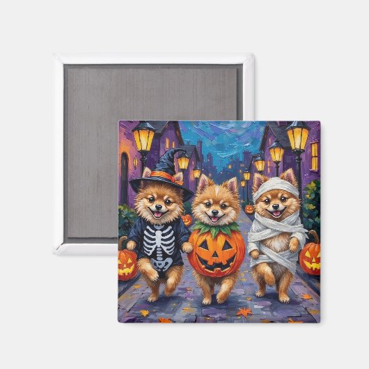 Pomeranian Trick-or-Treating in Halloween Costumes マグネット (正面/裏面)