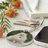 Pomeraningのモデル キーホルダー (正面右)