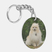 Pomeraningのモデル キーホルダー (正面左)