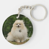 Pomeraningのモデル キーホルダー (裏面)