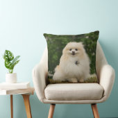 Pomeraningのモデル クッション (椅子)