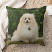 Pomeraningのモデル クッション (ブランケット)