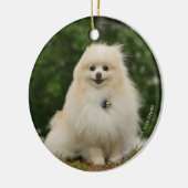 Pomeraningのモデル セラミックオーナメント (左)
