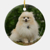 Pomeraningのモデル セラミックオーナメント (裏面)