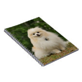 Pomeraningのモデル ノートブック (右側)