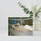 Pompeii、住民の一人が灰の中に捕まった ポストカード (スタンド正面)