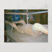 Pompeii、住民の一人が灰の中に捕まった ポストカード (正面)