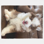 POMSKI (Pomeranian & Huskie mix) フリースブランケット (正面(横))