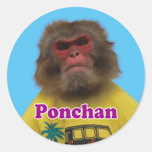 Ponchan sticker.　ぽんちゃんシール ラウンドシール (正面)