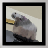 Poncho The Pigeon Poster ポスター (正面)