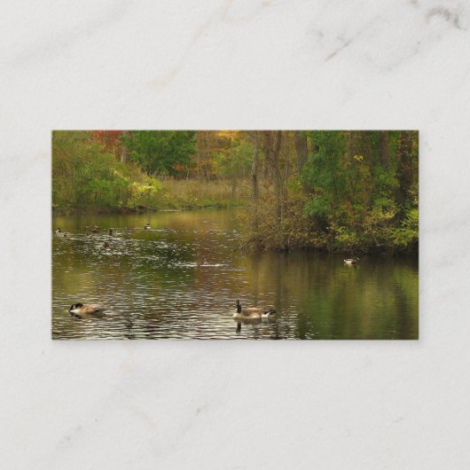 Pondサービス 名刺 (正面)