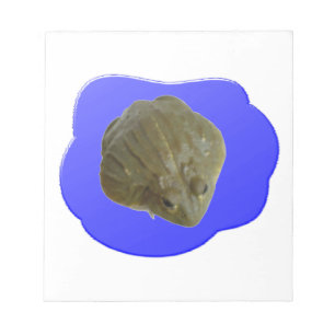 Pondメモ帳のBulfrog ノートパッド
