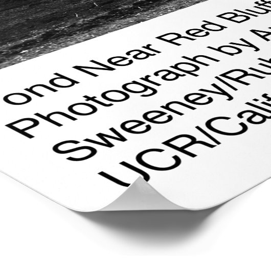 Pond Near Red Bluff by Ansel Adams ポスター (角)