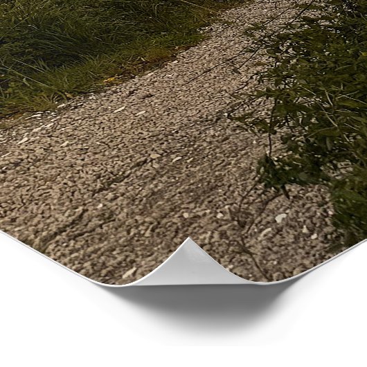 Pond Waterscape Sunset Photo Poster ポスター (角)