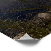 Pond Waterscape Sunset Photo Poster ポスター (角)